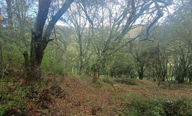 Lote / Terreno en Venta en La Estanzuela