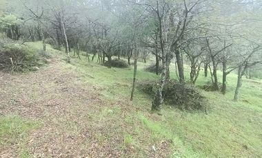 Lote / Terreno en Venta en La Estanzuela