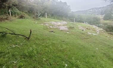 Lote / Terreno en Venta en La Estanzuela