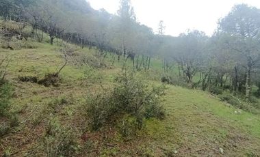 Lote / Terreno en Venta en La Estanzuela