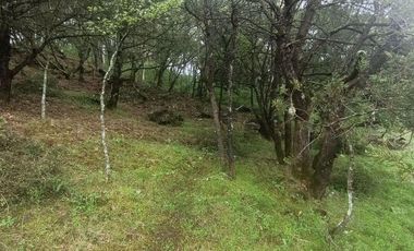 Lote / Terreno en Venta en La Estanzuela