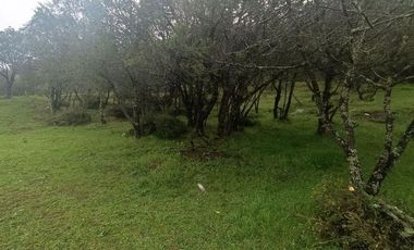 Lote / Terreno en Venta en La Estanzuela