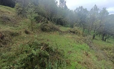 Lote / Terreno en Venta en La Estanzuela