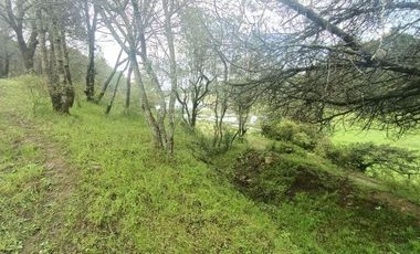 Lote / Terreno en Venta en La Estanzuela