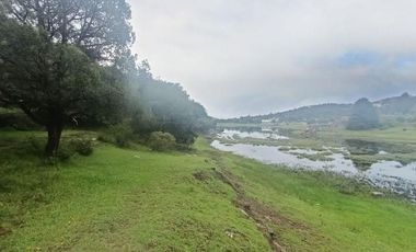 Lote / Terreno en Venta en La Estanzuela