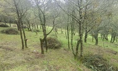 Lote / Terreno en Venta en La Estanzuela