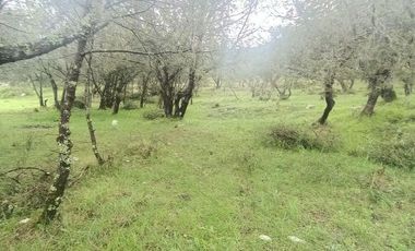 Lote / Terreno en Venta en La Estanzuela