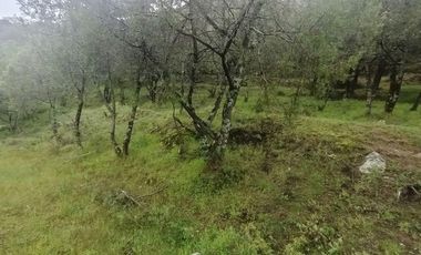 Lote / Terreno en Venta en La Estanzuela