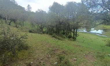 Lote / Terreno en Venta en La Estanzuela