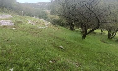 Lote / Terreno en Venta en La Estanzuela