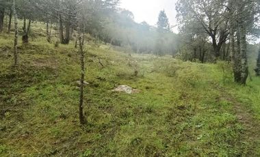 Lote / Terreno en Venta en La Estanzuela