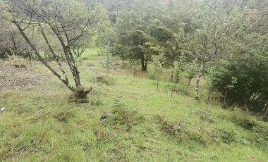 Lote / Terreno en Venta en La Estanzuela