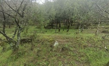 Lote / Terreno en Venta en La Estanzuela