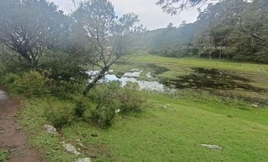 Lote / Terreno en Venta en La Estanzuela