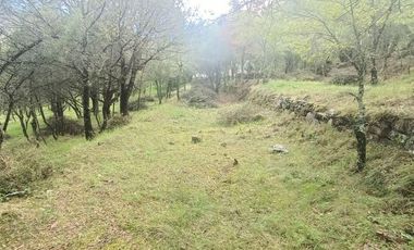 Lote / Terreno en Venta en La Estanzuela