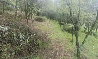 Lote / Terreno en Venta en La Estanzuela