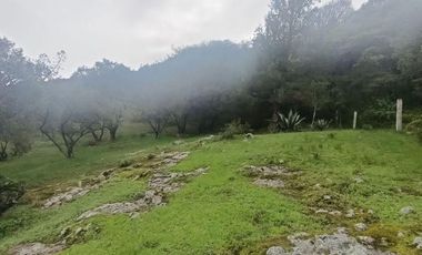 Lote / Terreno en Venta en La Estanzuela