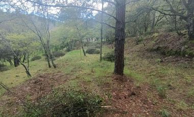 Lote / Terreno en Venta en La Estanzuela