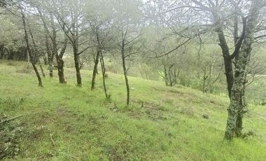 Lote / Terreno en Venta en La Estanzuela