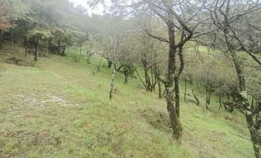 Lote / Terreno en Venta en La Estanzuela