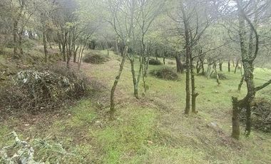 Lote / Terreno en Venta en La Estanzuela