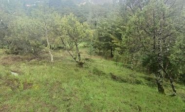 Lote / Terreno en Venta en La Estanzuela