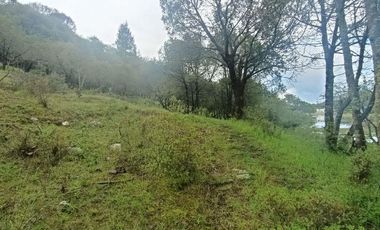 Lote / Terreno en Venta en La Estanzuela