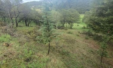 Lote / Terreno en Venta en La Estanzuela