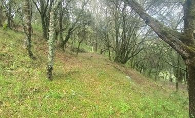 Lote / Terreno en Venta en La Estanzuela