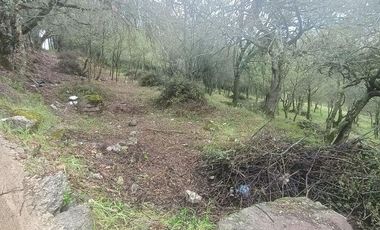 Lote / Terreno en Venta en La Estanzuela