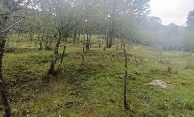 Lote / Terreno en Venta en La Estanzuela