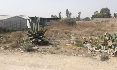 Lote / Terreno en Venta en Zempoala
