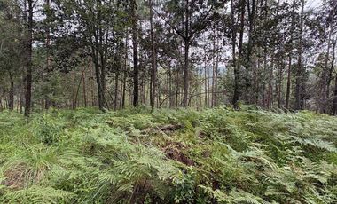 Lote / Terreno en Venta en Huasca de Ocampo