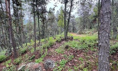 Lote / Terreno en Venta en Huasca de Ocampo