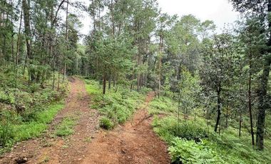 Lote / Terreno en Venta en Huasca de Ocampo