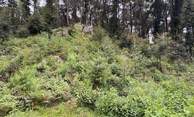 Lote / Terreno en Venta en Huasca de Ocampo