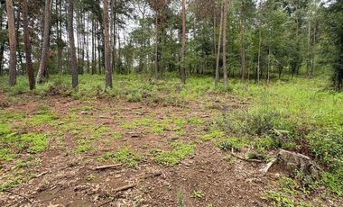 Lote / Terreno en Venta en Huasca de Ocampo