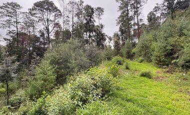 Lote / Terreno en Venta en Huasca de Ocampo