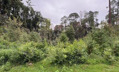 Lote / Terreno en Venta en Huasca de Ocampo