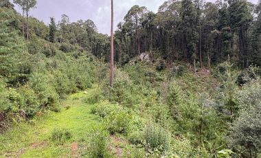 Lote / Terreno en Venta en Huasca de Ocampo