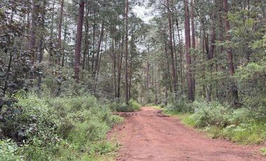 Lote / Terreno en Venta en Huasca de Ocampo