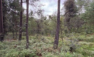 Lote / Terreno en Venta en Huasca de Ocampo