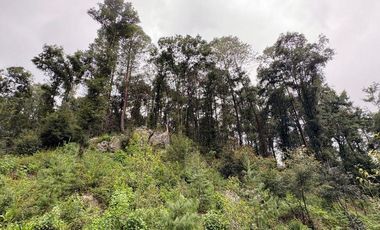 Lote / Terreno en Venta en Huasca de Ocampo