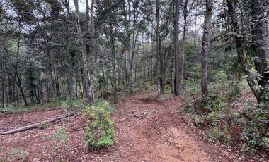 Lote / Terreno en Venta en Huasca de Ocampo