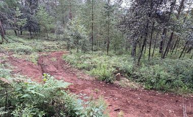 Lote / Terreno en Venta en Huasca de Ocampo