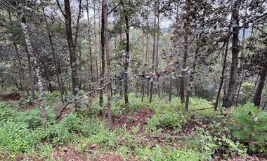 Lote / Terreno en Venta en Huasca de Ocampo