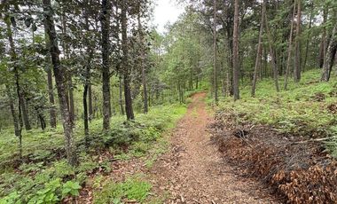 Lote / Terreno en Venta en Huasca de Ocampo