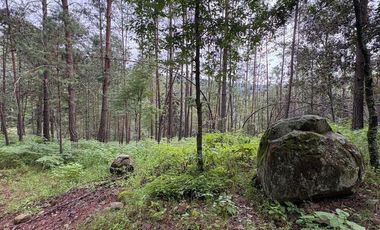 Lote / Terreno en Venta en Huasca de Ocampo