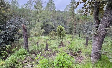 Lote / Terreno en Venta en Huasca de Ocampo