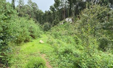 Lote / Terreno en Venta en Huasca de Ocampo